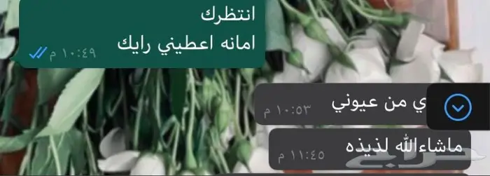 حلا ام علي  (اراء العملاء )  13