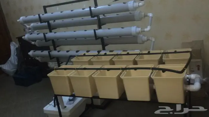 انشاء أنظمة زراعة مائية وبيوت محمية منزلية  45