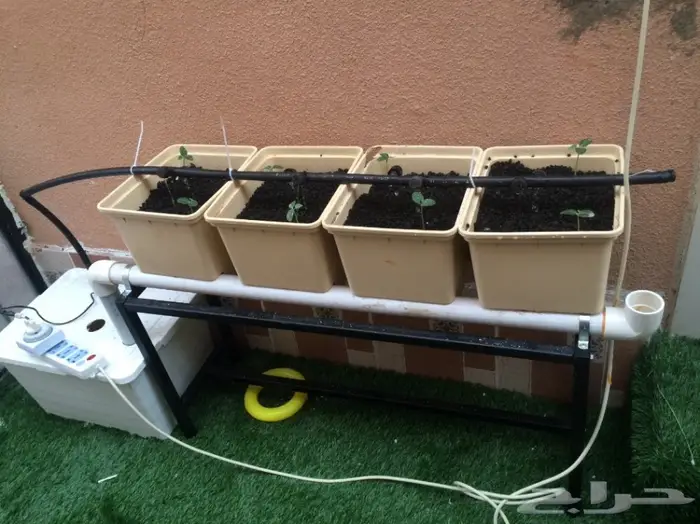 انشاء أنظمة زراعة مائية وبيوت محمية منزلية  37