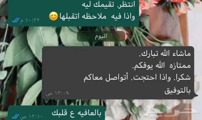 حلا ام علي  (اراء العملاء )  17