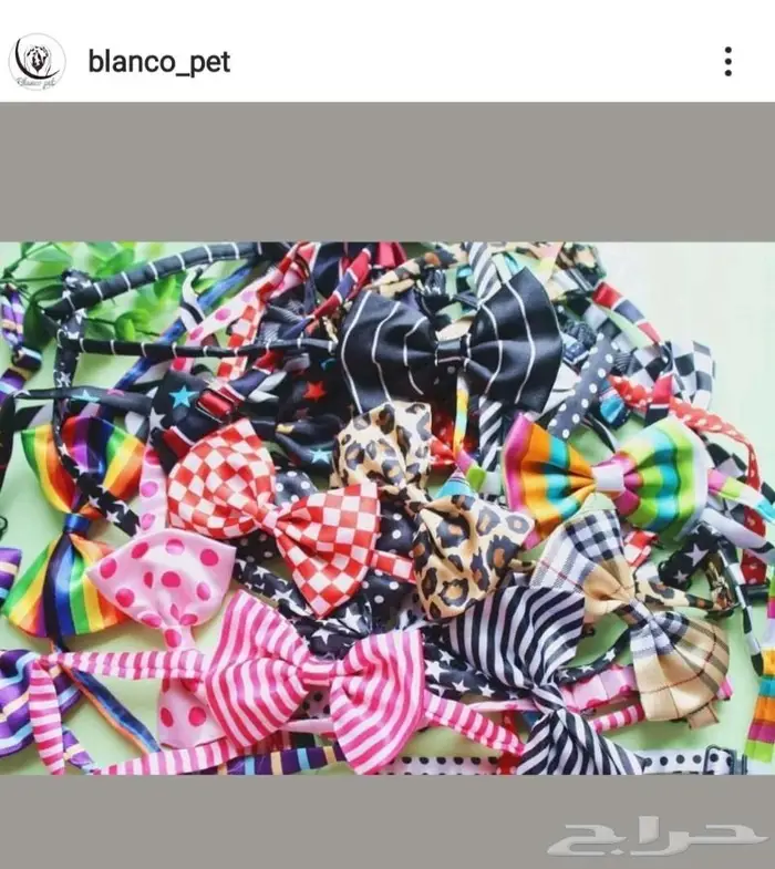 ربطات عنق للقطط و الكلاب 1