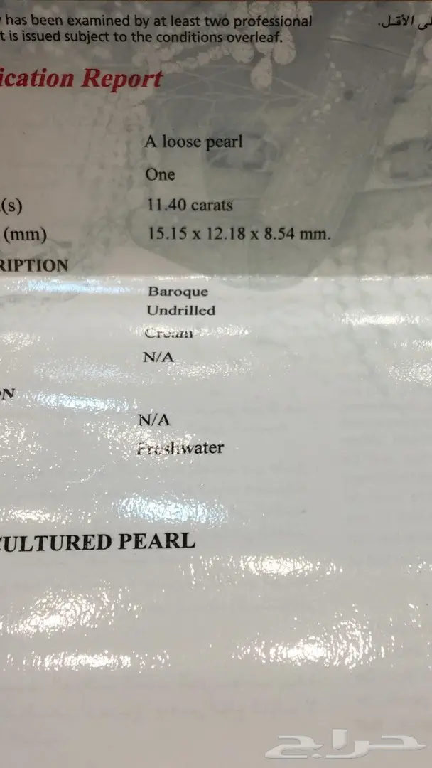 لؤلؤة البحرين بشهادة  2