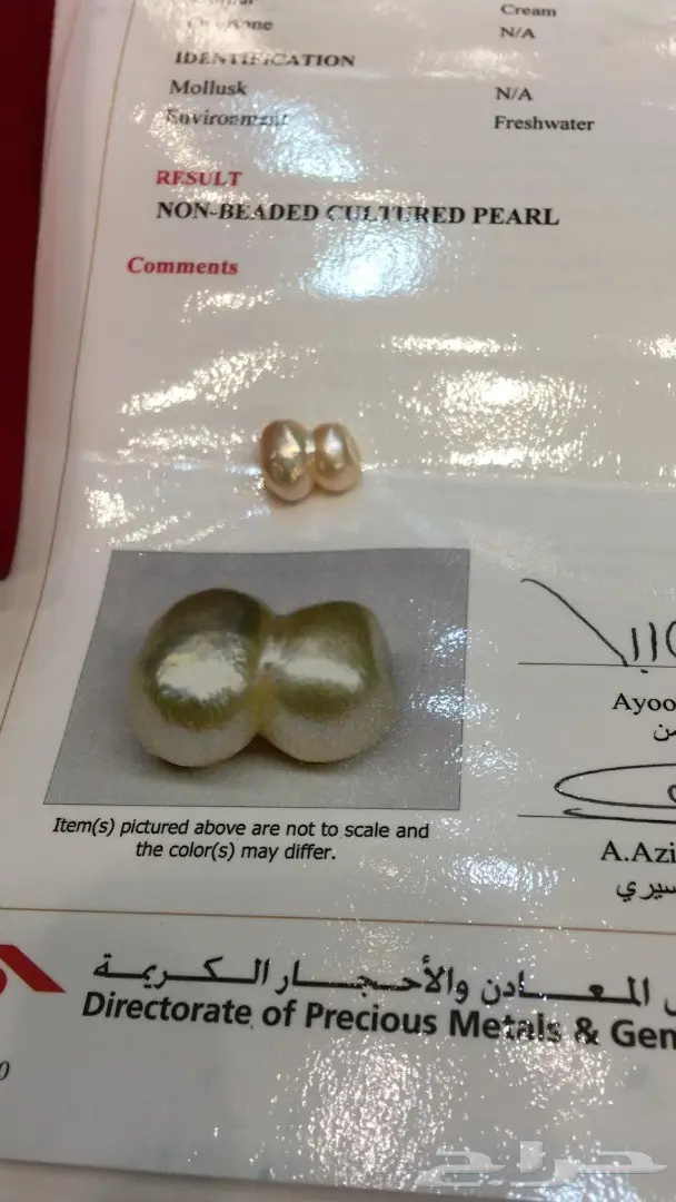 لؤلؤة البحرين بشهادة  3