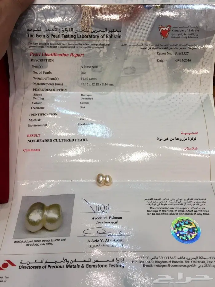 لؤلؤة البحرين بشهادة  4