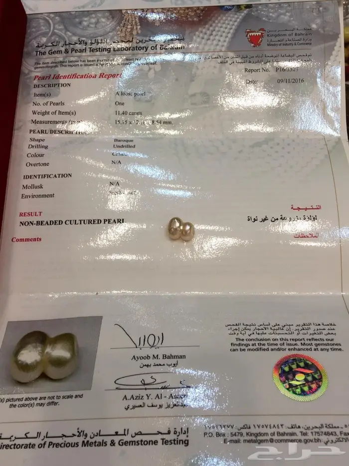 لؤلؤة البحرين بشهادة  5