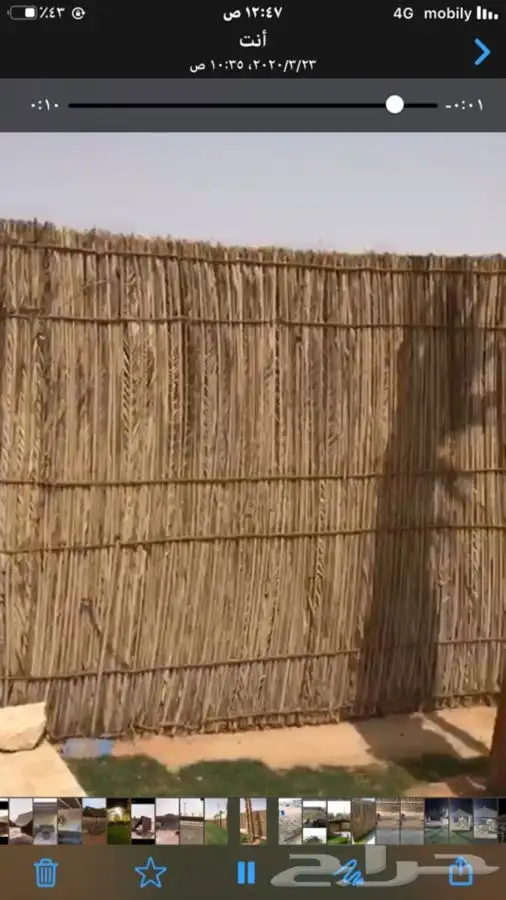 سعف نخل جريد نخل 4 متر في 2.5 مقاس الروله 15