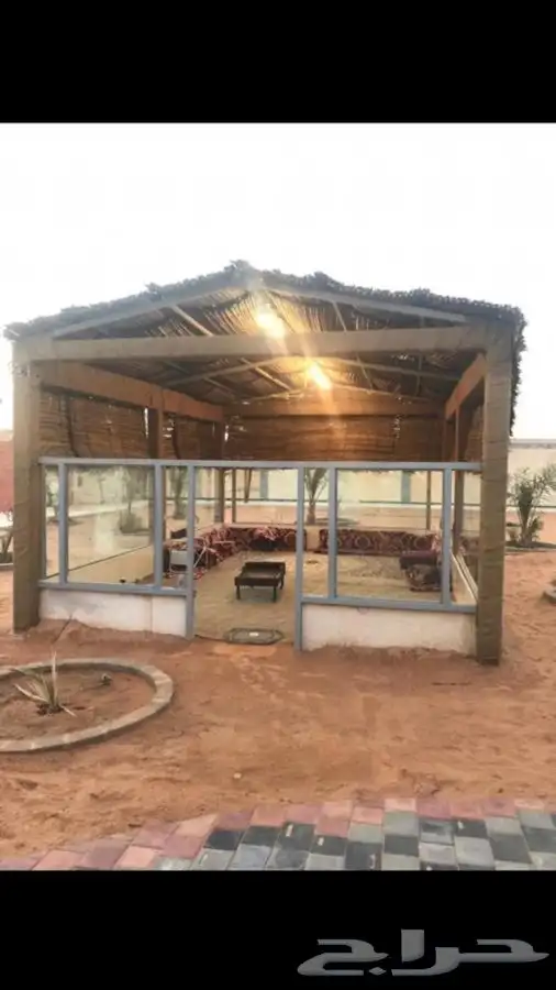 سعف نخل جريد نخل 4 متر في 2.5 مقاس الروله 10