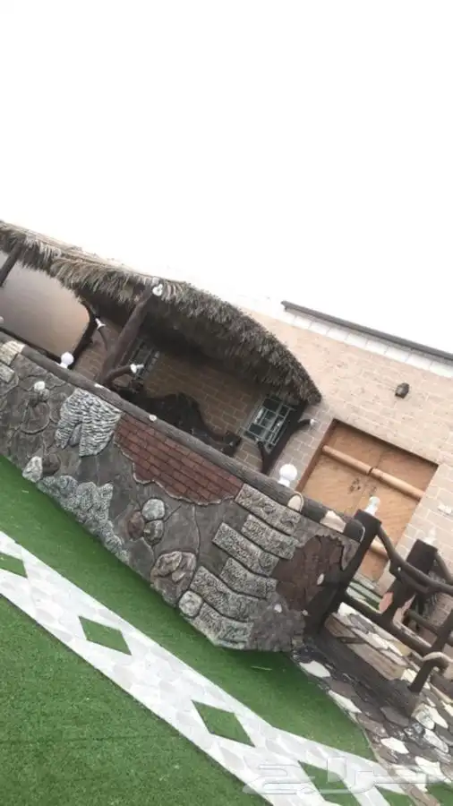 سعف نخل جريد نخل 4 متر في 2.5 مقاس الروله 12