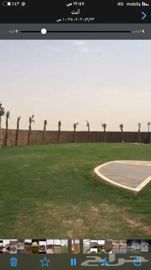 سعف نخل جريد نخل 4 متر في 2.5 مقاس الروله 9