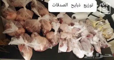 ذبايح طليان ورخال حري سواكني تيوس 14