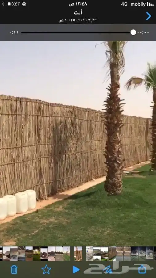 جريد وسعف نخل 7