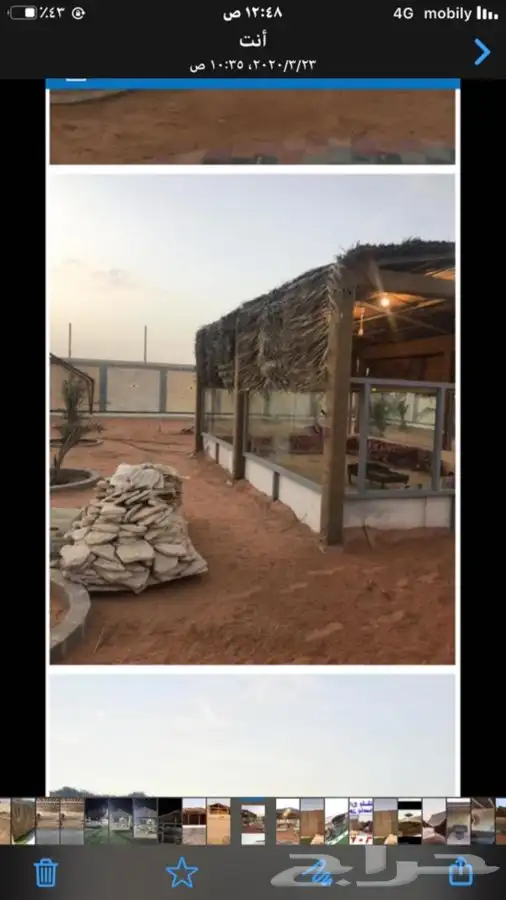 جريد وسعف نخل 2