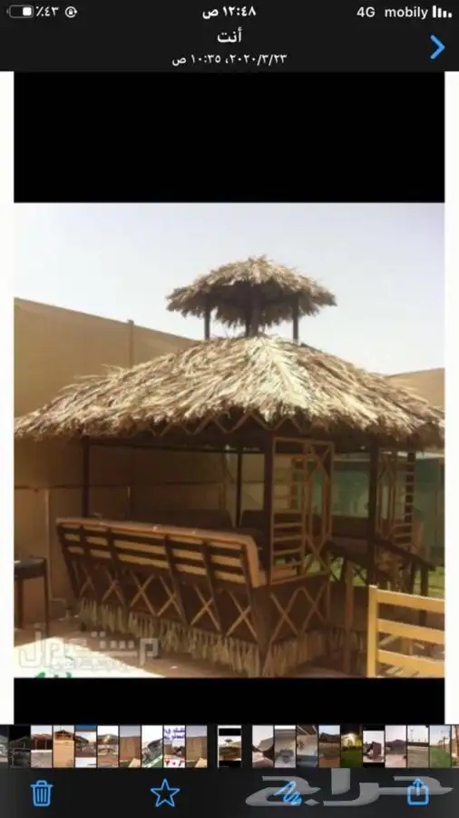 جريد وسعف نخل 0