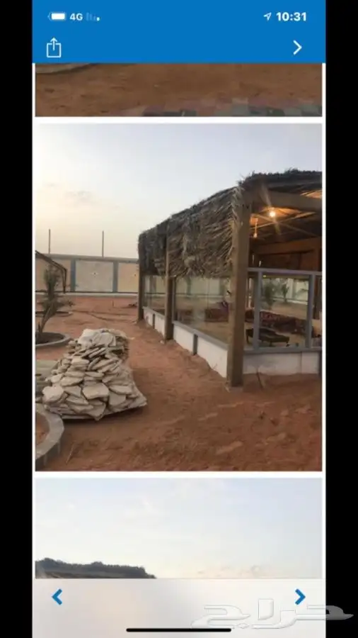 جريد وسعف نخل 9