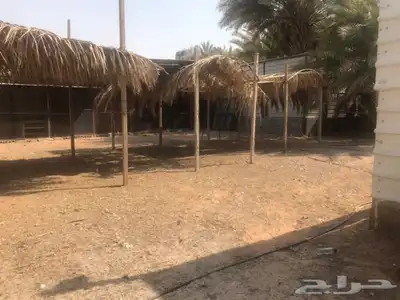 للايجار احواش الخرج  اليمامه 6