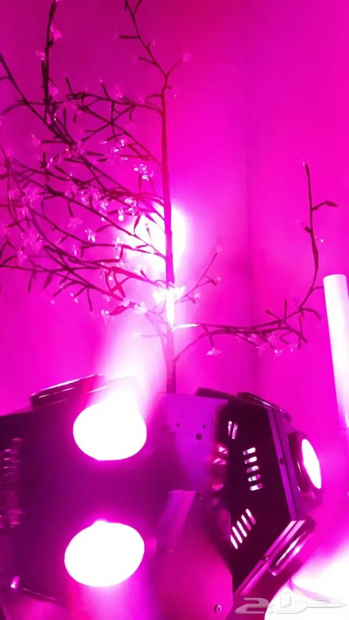 بوابه وأجهزة حديثه لافتتاح محلات تجاريه 2