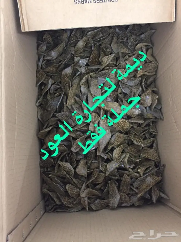 المورد الأفضل أعواد و ادهان عود بالجملة  11