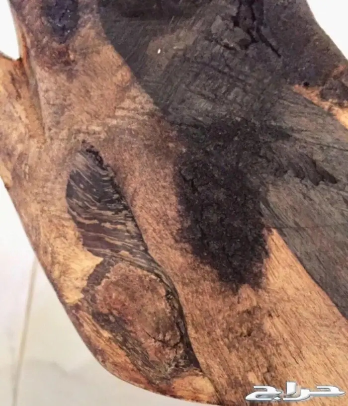 مجسم غزال نحت 3