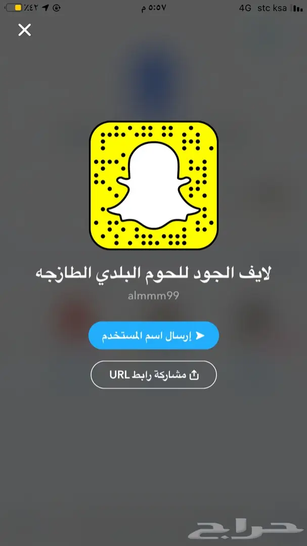 شركة الحاشي البري افضل لحم حاشي 45