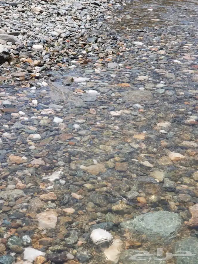 حجر مظبي وحجر مرو حجر حدائق حجر صحي (طبيعي) 7