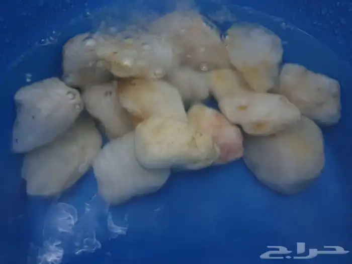 حجر مظبي وحجر مرو حجر حدائق حجر صحي (طبيعي) 5