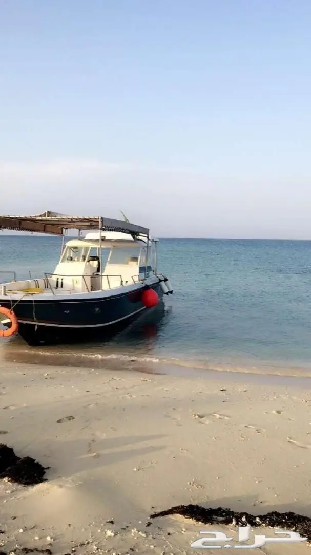 دورات غوص وسباحة معتمدة جازان 7