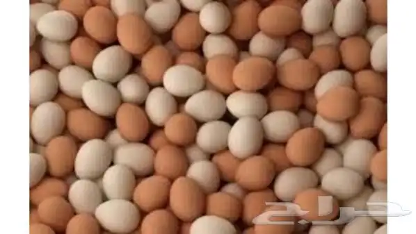 يوجد بيض دجاج بلدي وفيومي مصري وفيوم تركي 2