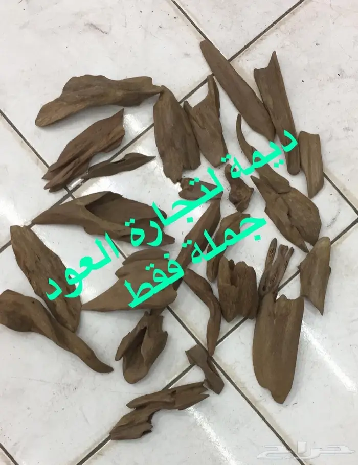 ديمة للعود جملة ( ادهان و أعواد )  7