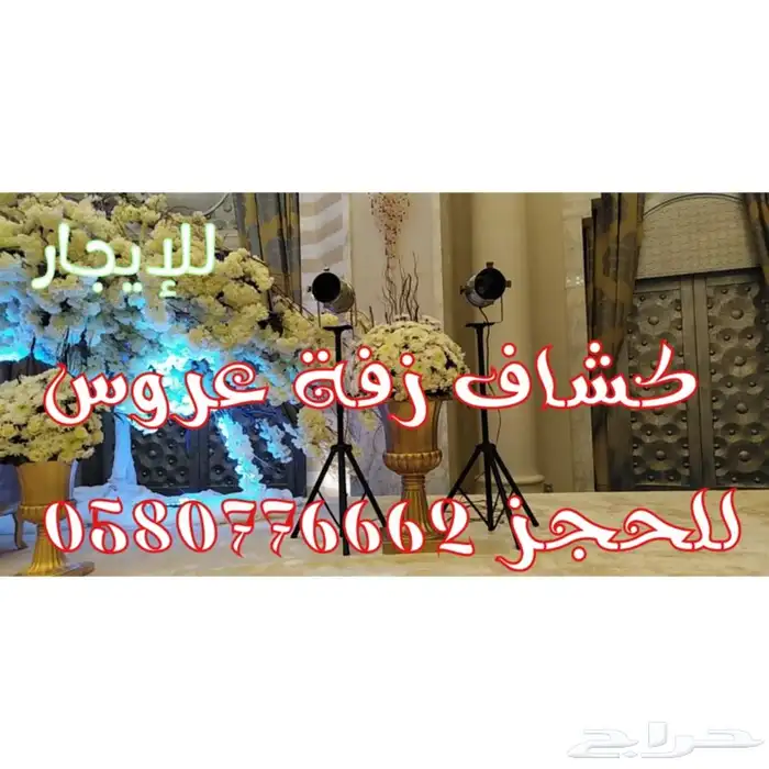 كشاف عروس للإيجار 4