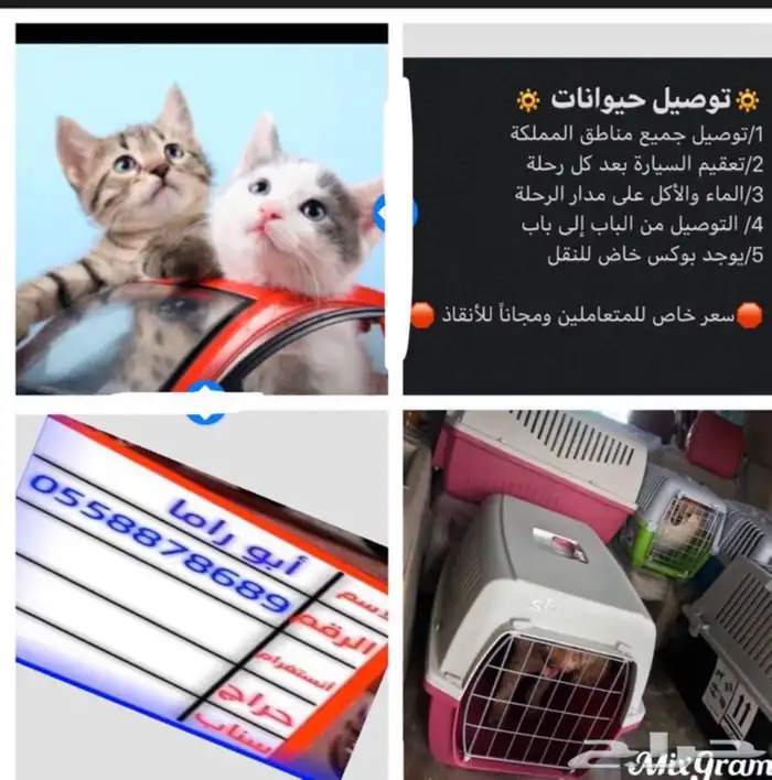 توصيل حيوانات 0