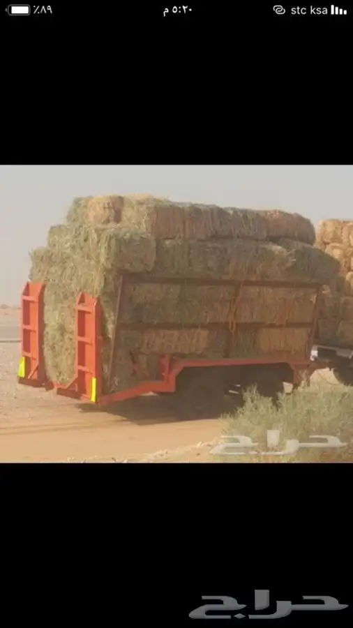 قلص بوبكات 2