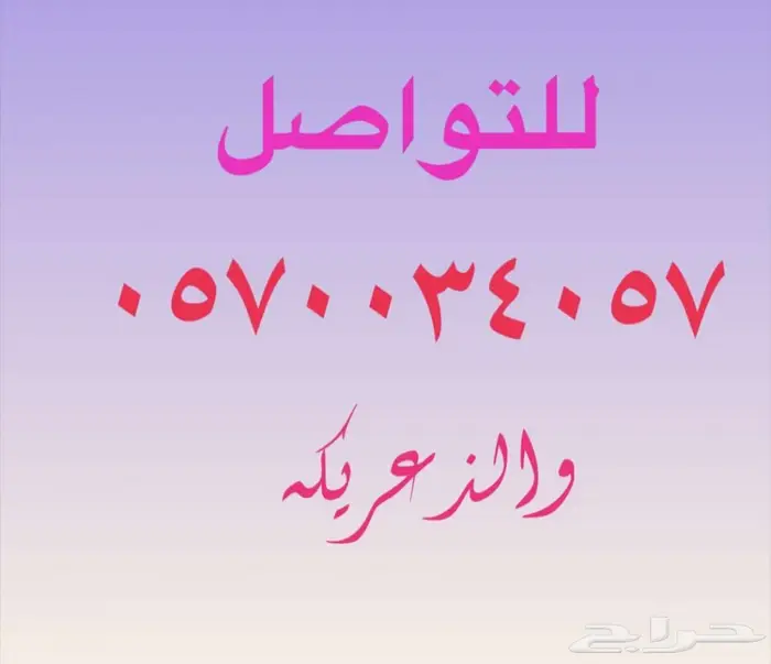 عريكه جنوبيه بالطايف 10