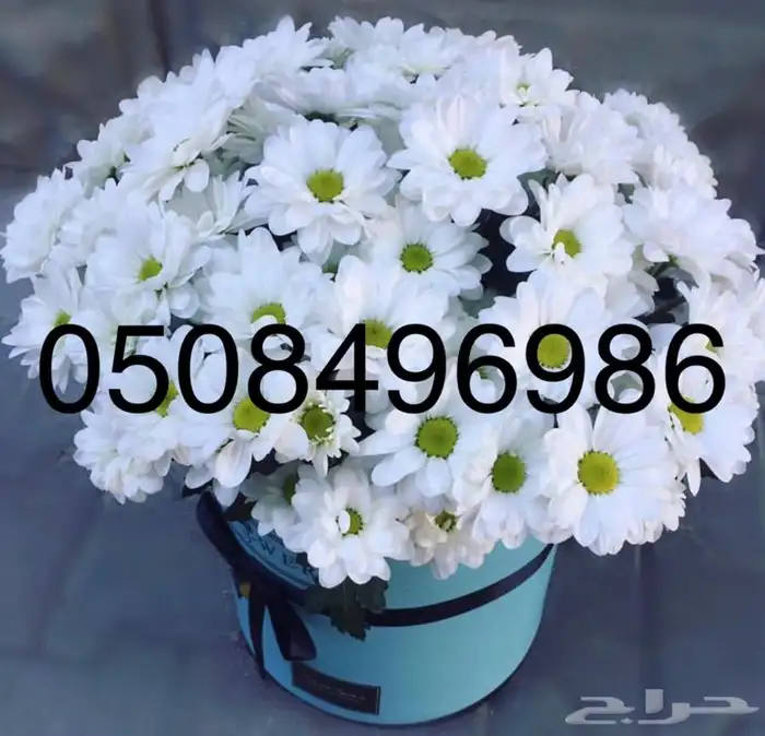 باقات فواكه و باقات ورد فروعنا بجميع المناطق 14