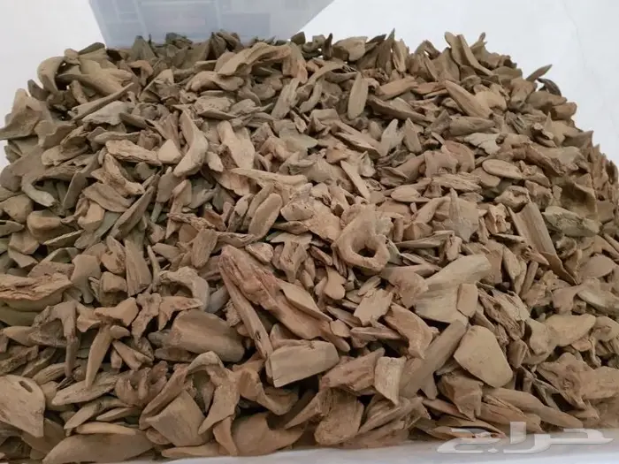 عود موروكي آصقون غابات سوبر مرتفع بسعر الجملة 4
