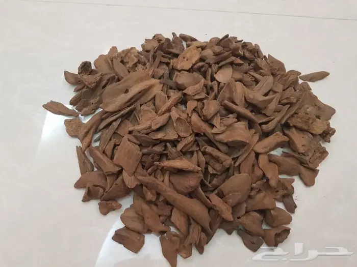 عود موروكي آصقون غابات سوبر مرتفع بسعر الجملة 5