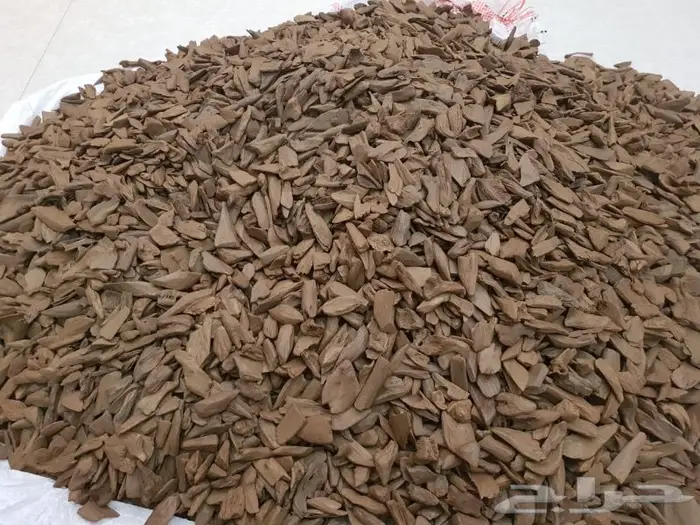 عود موروكي آصقون غابات سوبر مرتفع بسعر الجملة 6