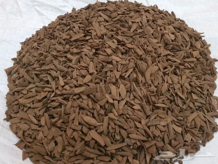 عود موروكي آصقون غابات سوبر مرتفع بسعر الجملة 7