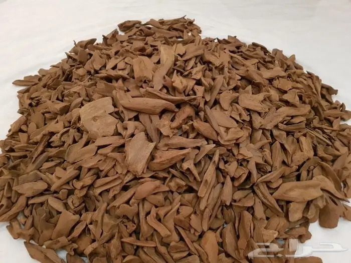 عود موروكي آصقون غابات سوبر مرتفع بسعر الجملة 8