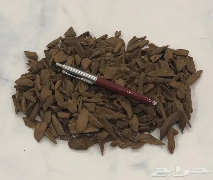 عود موروكي آصقون غابات سوبر مرتفع بسعر الجملة 2