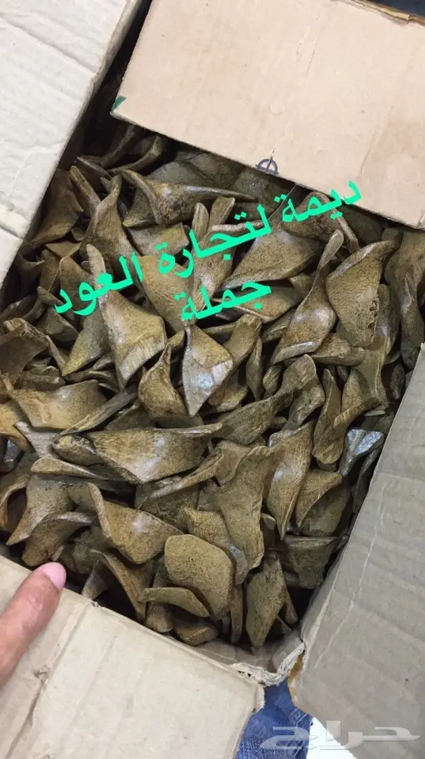 ديمة لتجارة العود جملة ( ادهان و أعواد )  19
