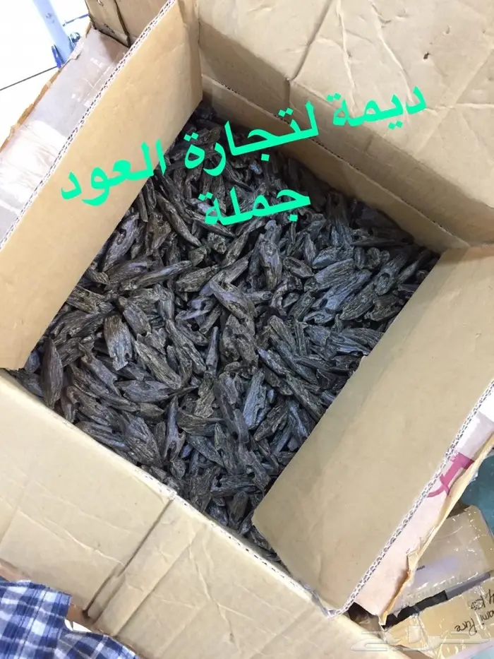 ديمة لتجارة العود جملة ( ادهان و أعواد )  13