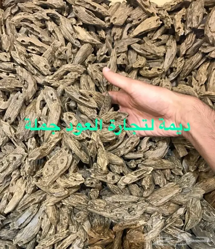 ادهان و أعواد بالجملة ابدأ تجارتك  15