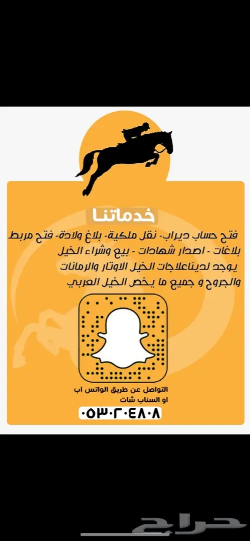 خيل خدمات الخيل  0