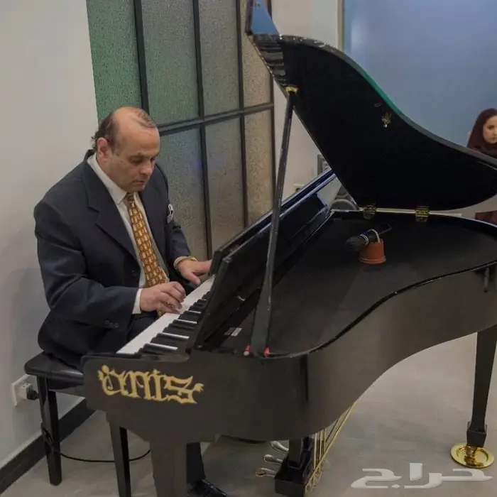 عازف بيانو احترافي للفنادق والمناسبات الهامه pianist 0