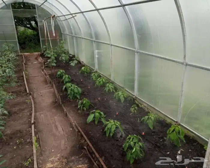 موقت الري الزراعي والسقي ( تايمر ) 6