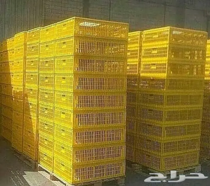 ايجار اقفاص شبوك صفر لنقل الدجاج والحمام 1