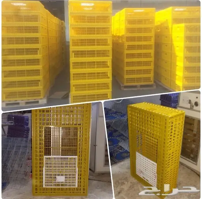 ايجار اقفاص شبوك صفر لنقل الدجاج والحمام 2