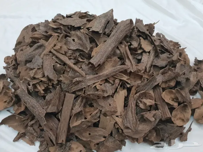 عود سيلاني غابات دبل سوبر فخم ونادر 1