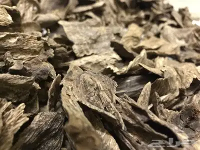 عود طبيعي بورمي فاخر مليء بالدهن 3
