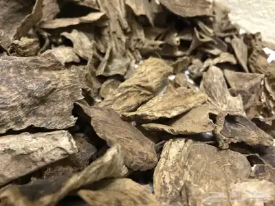 عود طبيعي بورمي فاخر مليء بالدهن 2